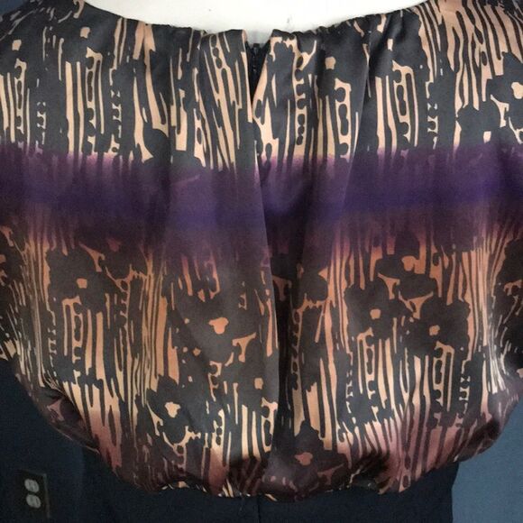 The Limited silky shaded blouson-style midi, sz 8 - Picture 5 of 6